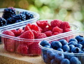 entdecken sie die grundlagen der ernährung und erfahren sie, wie eine ausgewogene ernährung ihr wohlbefinden steigern kann. tipps, rezepte und wissenschaftliche erkenntnisse für eine gesunde lebensweise.
