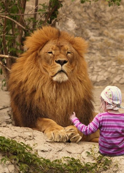 entdecken sie unsere hochwertigen spielmatten, die perfekten begleiter für kreatives spielen und lernen. ideal für kinder, bieten unsere matten komfort, sicherheit und eine bunte gestaltung für endlosen spaß.