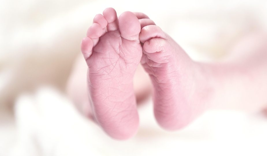 entdecken sie gesunde und leckere babynahrung für die wertvollsten monate im leben ihres kindes. unsere auswahl bietet nahrhafte, biologische und schmackhafte optionen, die perfekt auf die bedürfnisse ihres babys abgestimmt sind.