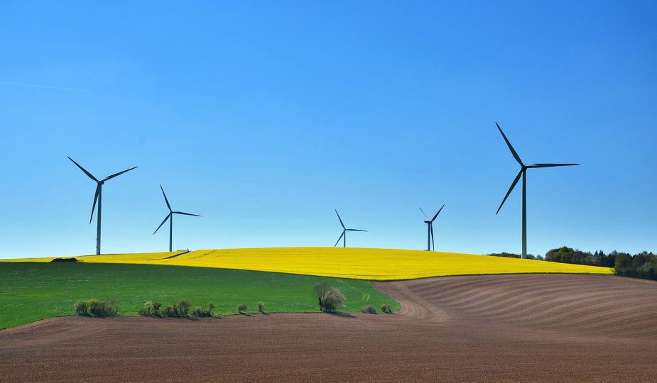 entdecken sie nachhaltige dekoration, die stil und umweltbewusstsein vereint. verschönern sie ihr zuhause mit umweltfreundlichen materialien und zeitlosen designs, die sowohl ästhetik als auch nachhaltigkeit fördern.